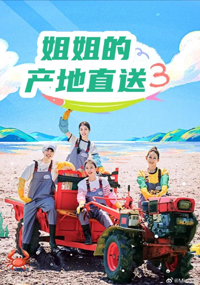 姐姐家的产地直送3 高清在线播放海报