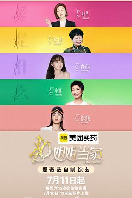 姐姐当家2 高清在线播放海报